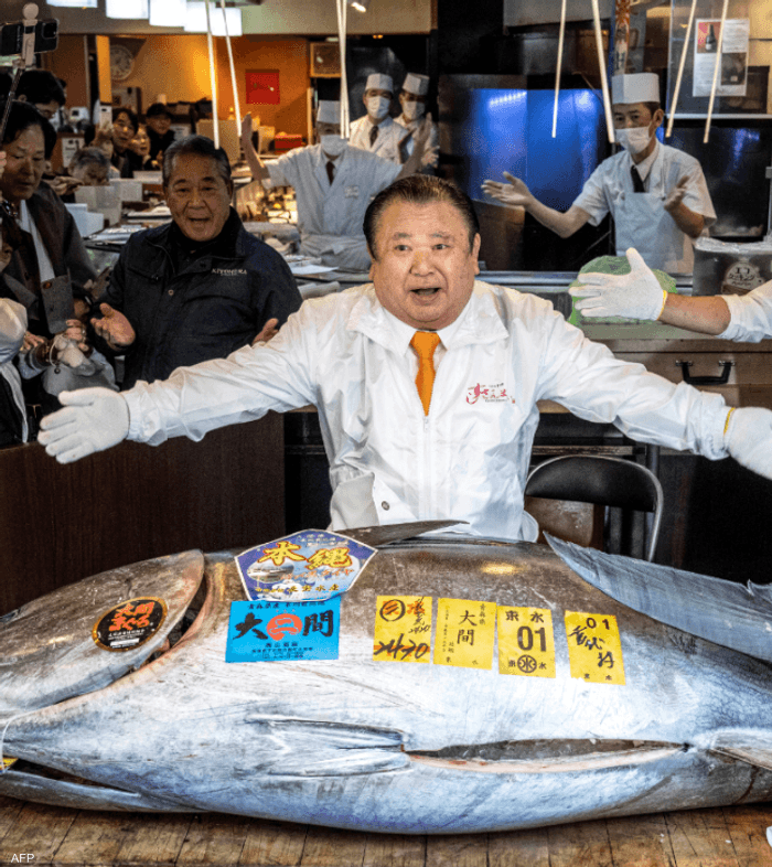 سمكة التونة