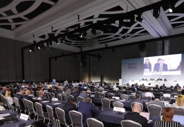 الجمعية العامة لـ "آيرينا"