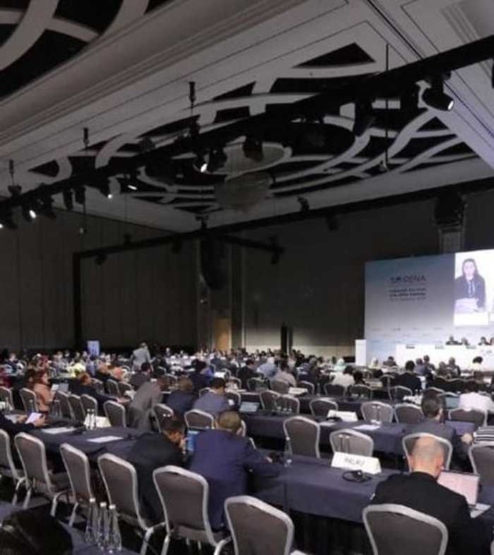 الجمعية العامة لـ "آيرينا"