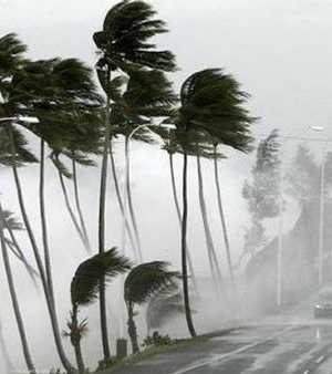 خففت الأمطار من حدة شح المياه