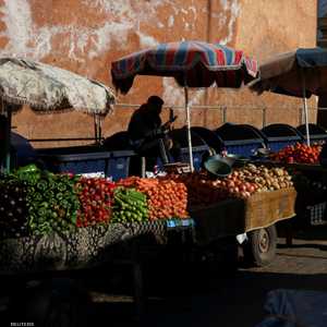 الخضراوات مكون أساسي في الهرم الغذائي الجديد