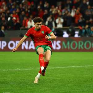 نائل العيناوي