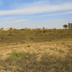 أثارت صور ومقاطع فيديو نشرها نشطاء بيئيون قلقا كبيرا