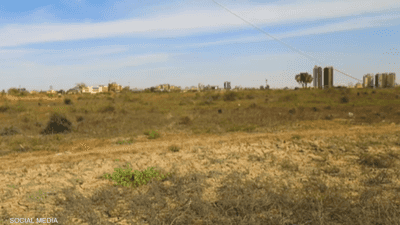 غابة السنط.. الحرب في السودان تتلف "رئة الخرطوم الخضراء"