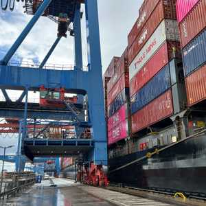 الصادرات الألمانية