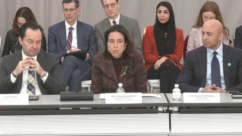 وزيرة الدولة في الإمارات، لانا زكي نسيبة