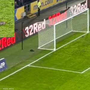 سنجاب اقتحم مباراة هال سيتي وبريستول سيتي