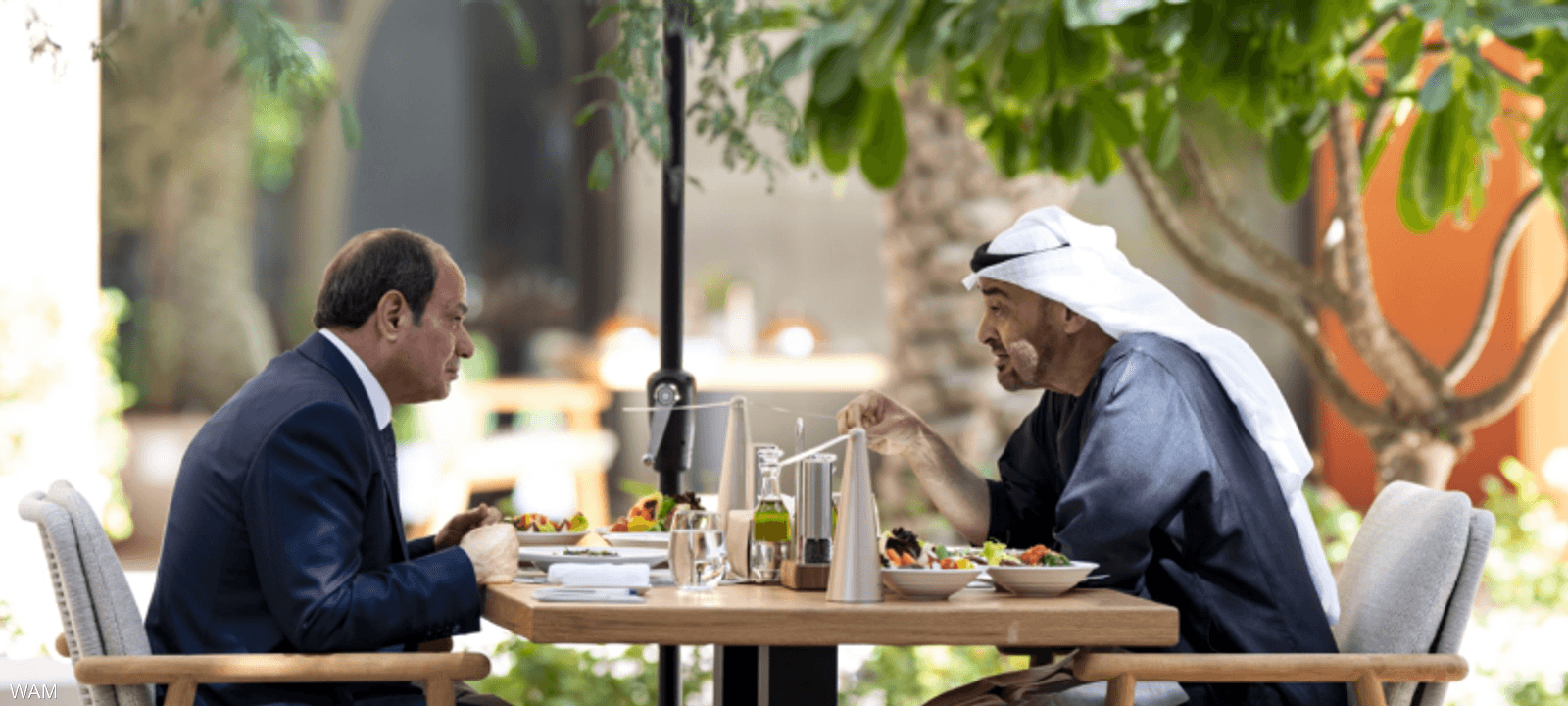 محمد بن زايد والسيسي 