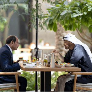 محمد بن زايد والسيسي