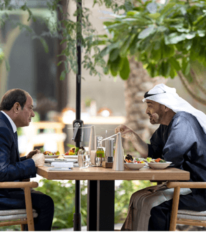 محمد بن زايد والسيسي 