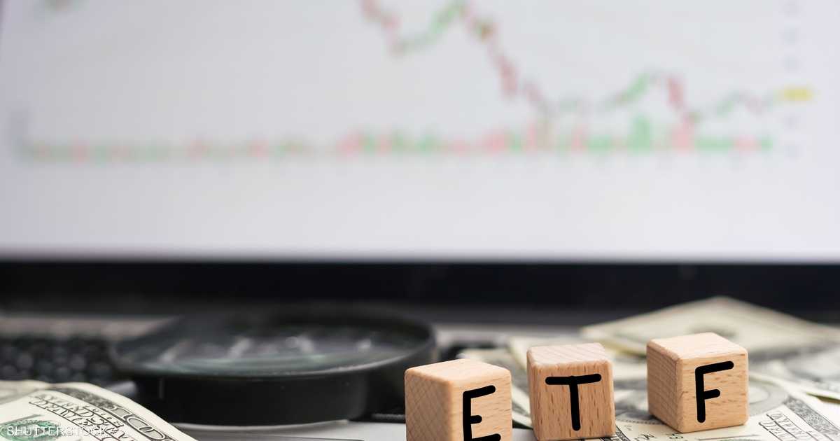 صناديق المؤشرات والأسهم الفردية.. أيهما الأفضل لبناء الثروة؟