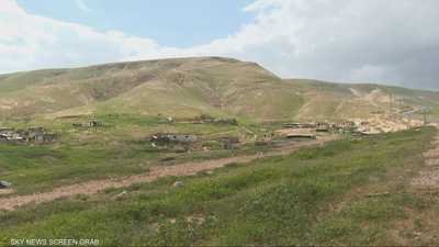 اعتداءات المستوطنين هجرت أكثر من 80 تجمعا بدويا في الأغوار