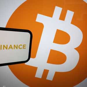 شعار منصة باينانس