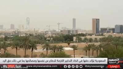 الإمارات بين عقلانية القرار وحزم الردع