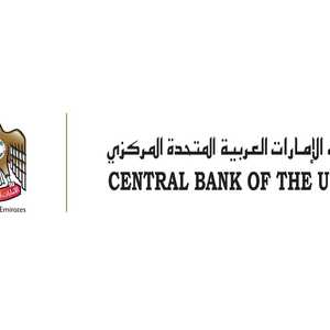 المركزي الإماراتي