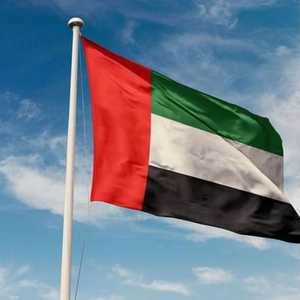 رحبت الإمارات باعتماد مجلس الأمن القرار رقم 2817