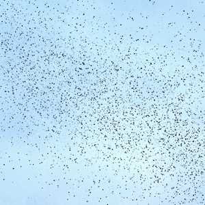 منشورات ألقتها طائرات إسرائيلية متناثرة في سماء بيروت