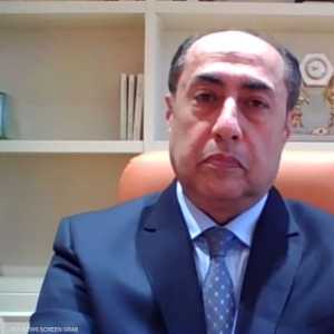 الأمين العام المساعد لجامعة الدول العربية