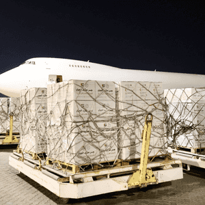 تشمل المساعدات مواد غذائية إلى جانب كسوة العيد