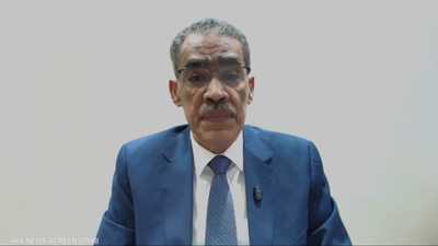 رشوان: القاهرة منحازة للحق العربي وتسعى لوقف الحرب