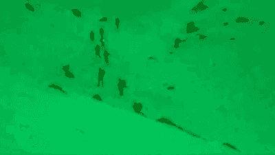 فيديو.. قوة إسرائيلية تعبر إلى لبنان عبر "جبل الشيخ" بسوريا