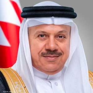 الزياني أشار إلى قرار مجلس الأمن رقم 2817 (2026)