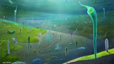 حفريات صينية تكشف كائنات بحرية عاشت قبل 546 مليون عام