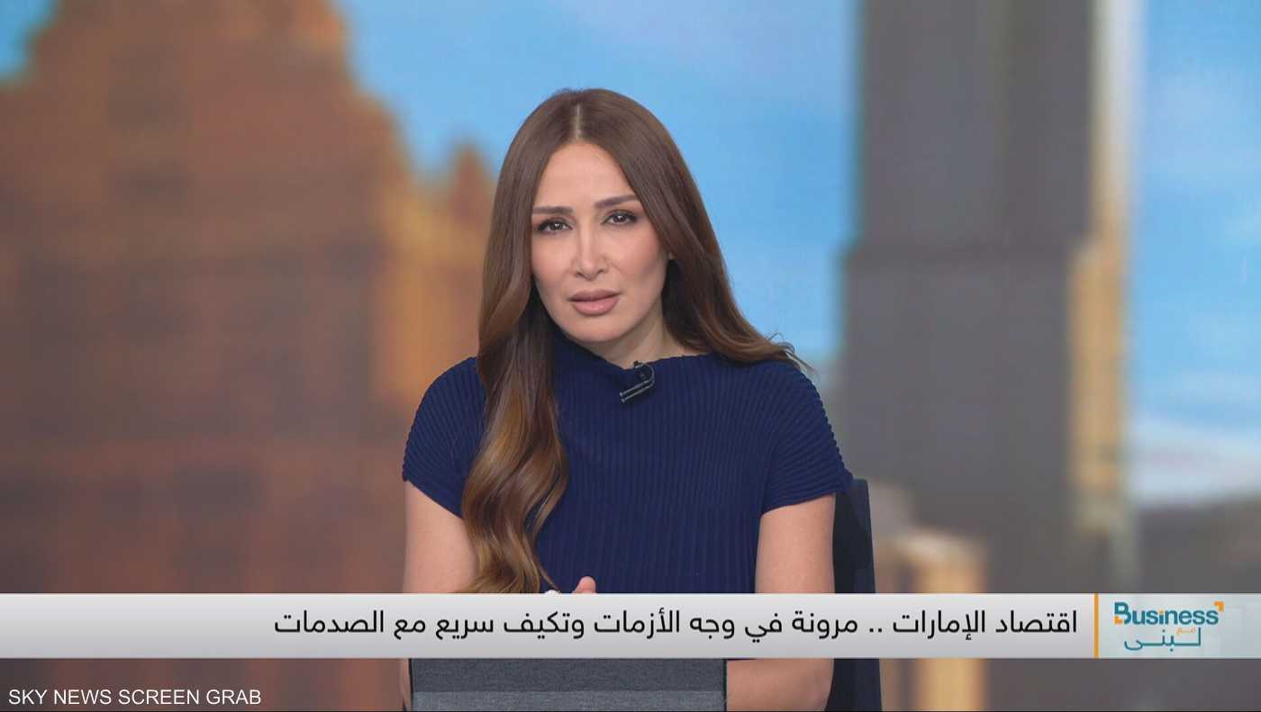 الإمارات.. صمود في وجه الاعتداءات الإيرانية 