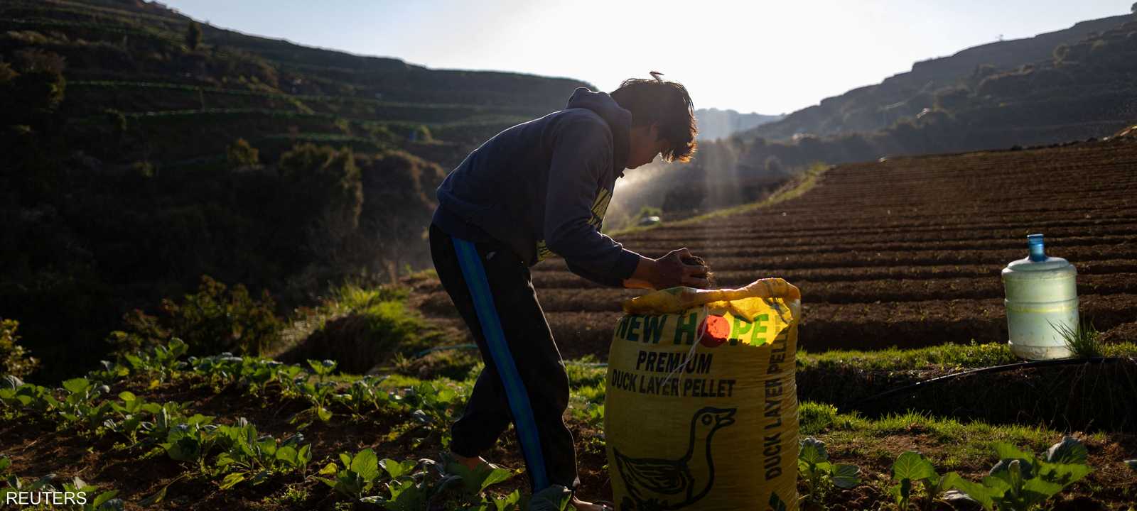عودة سوق الأسمدة إلى طبيعتها ستستغرق وقتا إثر الحرب