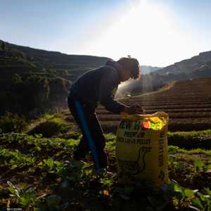 عودة سوق الأسمدة إلى طبيعتها ستستغرق وقتا إثر الحرب
