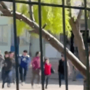 انتهى الهجوم بانتحار المهاجم