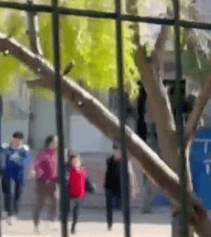 انتهى الهجوم بانتحار المهاجم