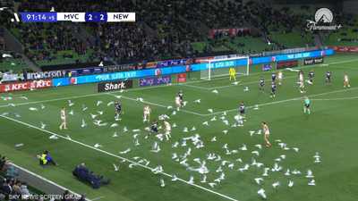 بالفيديو.. أسراب الطيور تغزو مباراة كرة قدم في "مشهد جنوني"