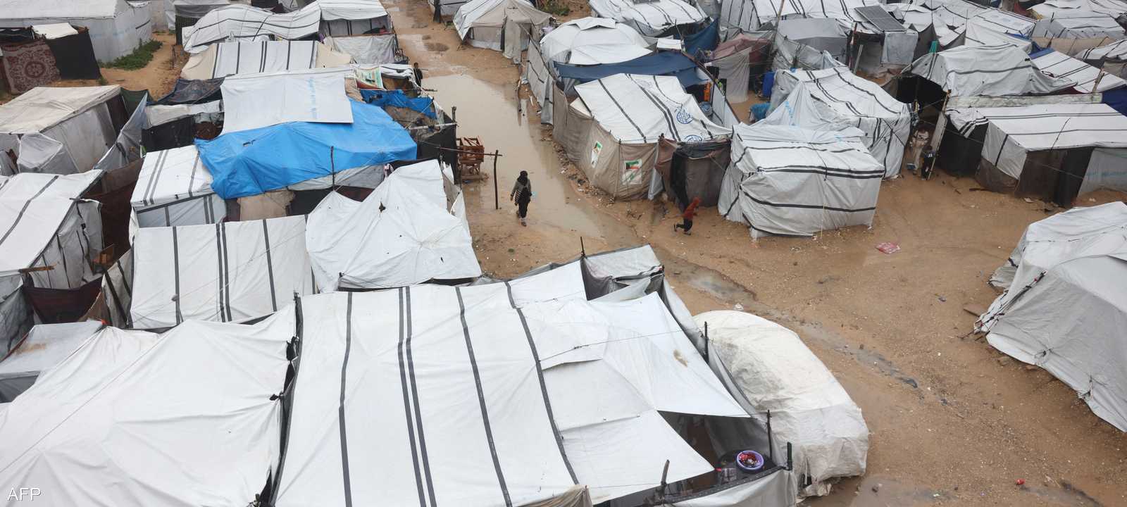 انتشار القوارض يفاقم معاناة النازحين في غزة