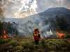 أرشيفية لحريق غابات في الأرجنتين