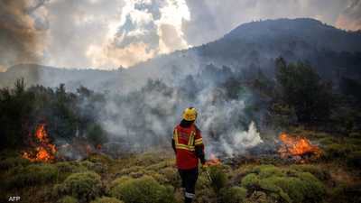 دخان حرائق الغابات قد يرفع خطر الإصابة بأنواع من السرطان