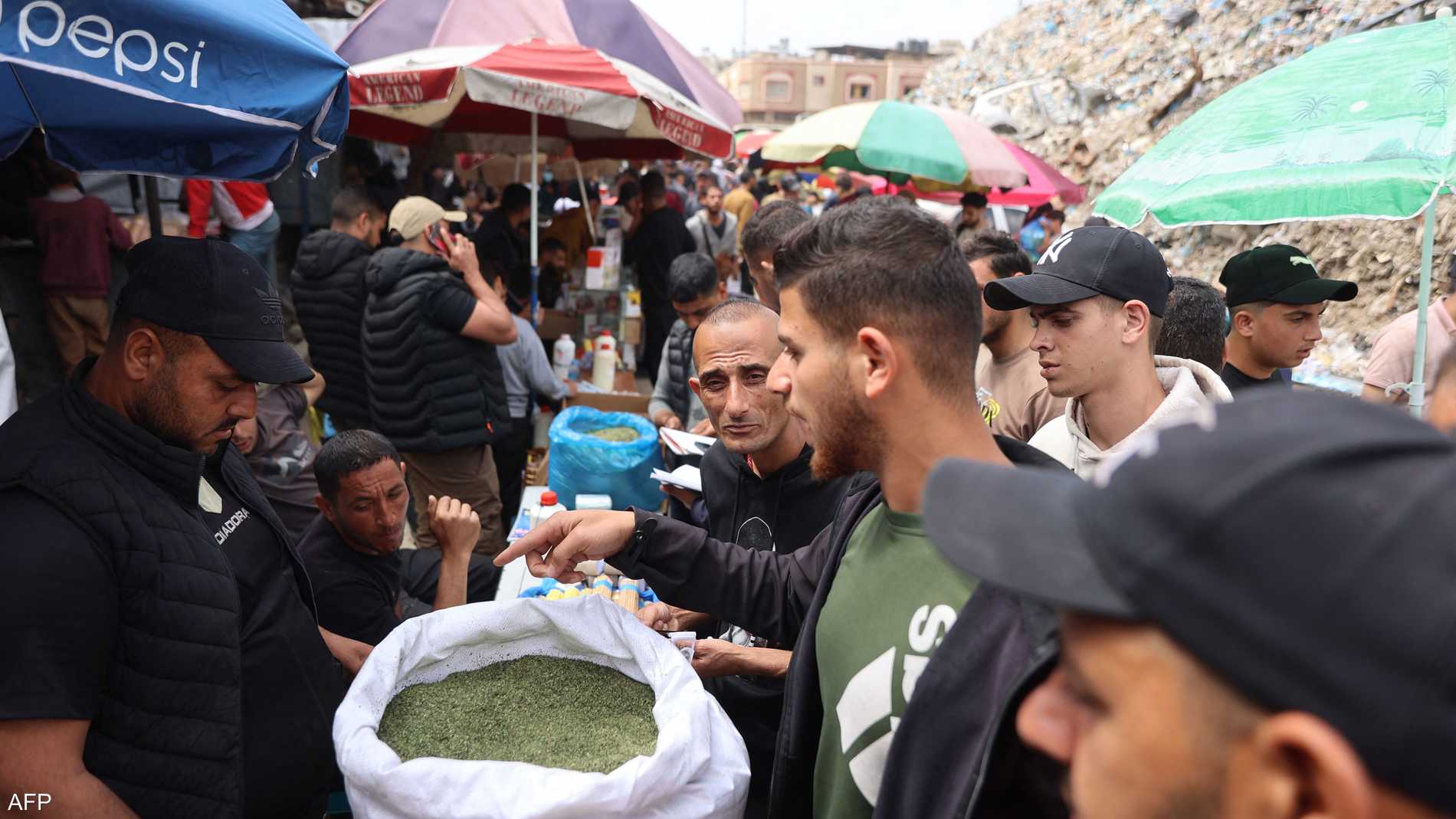 من المطبخ إلى التدخين.. الملوخية بديل اضطراري للسجائر في غزة 