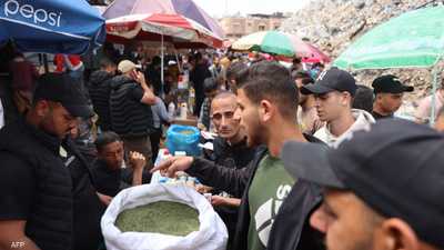 من المطبخ إلى التدخين.. الملوخية بديل اضطراري للسجائر في غزة