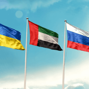 بلغ مجموع الوساطات الإماراتية التي تمت خلال الأزمة 22 وساطة