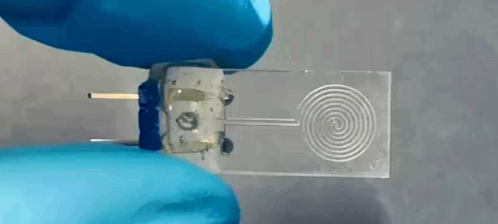 نيويورك أبوظبي