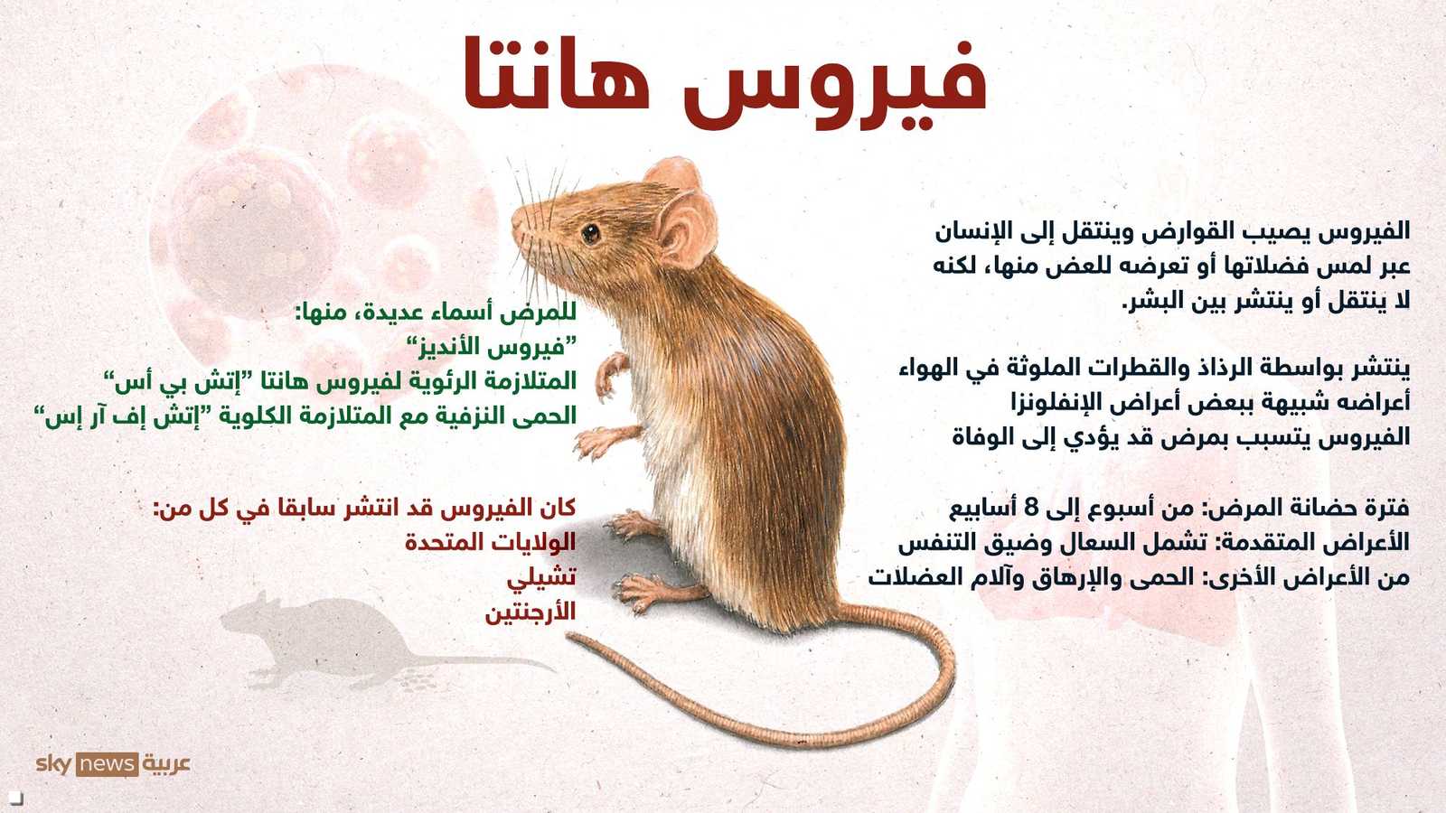 ما هو فيروس هانتا؟