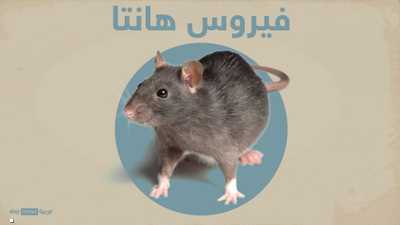 كل ما نعرفه عن فيروس هانتا وأعراضه وعلاجه