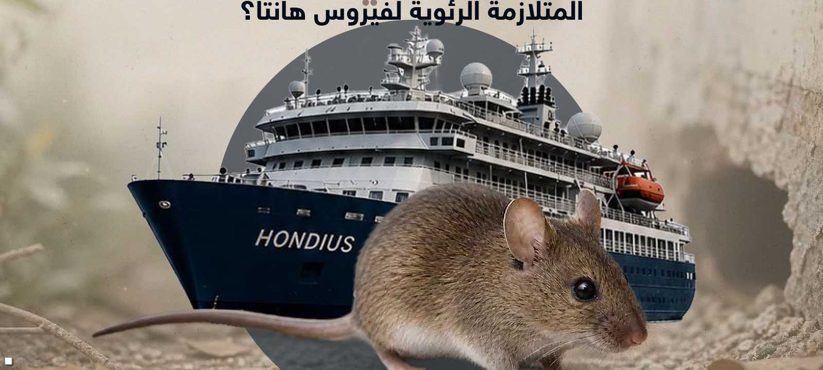 المتلازمة الرئوية لفيروس هانتا
