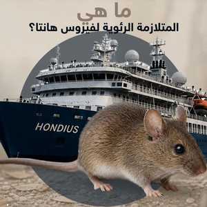 المتلازمة الرئوية لفيروس هانتا