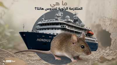 المتلازمة الرئوية لفيروس هانتا