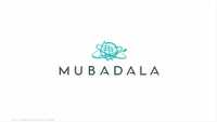 استثمارات تبني اقتصاد الإمارات المستقبل