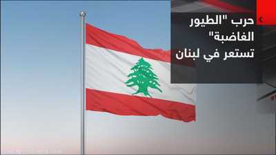 حرب "الطيور الغاضبة" تستعر في لبنان