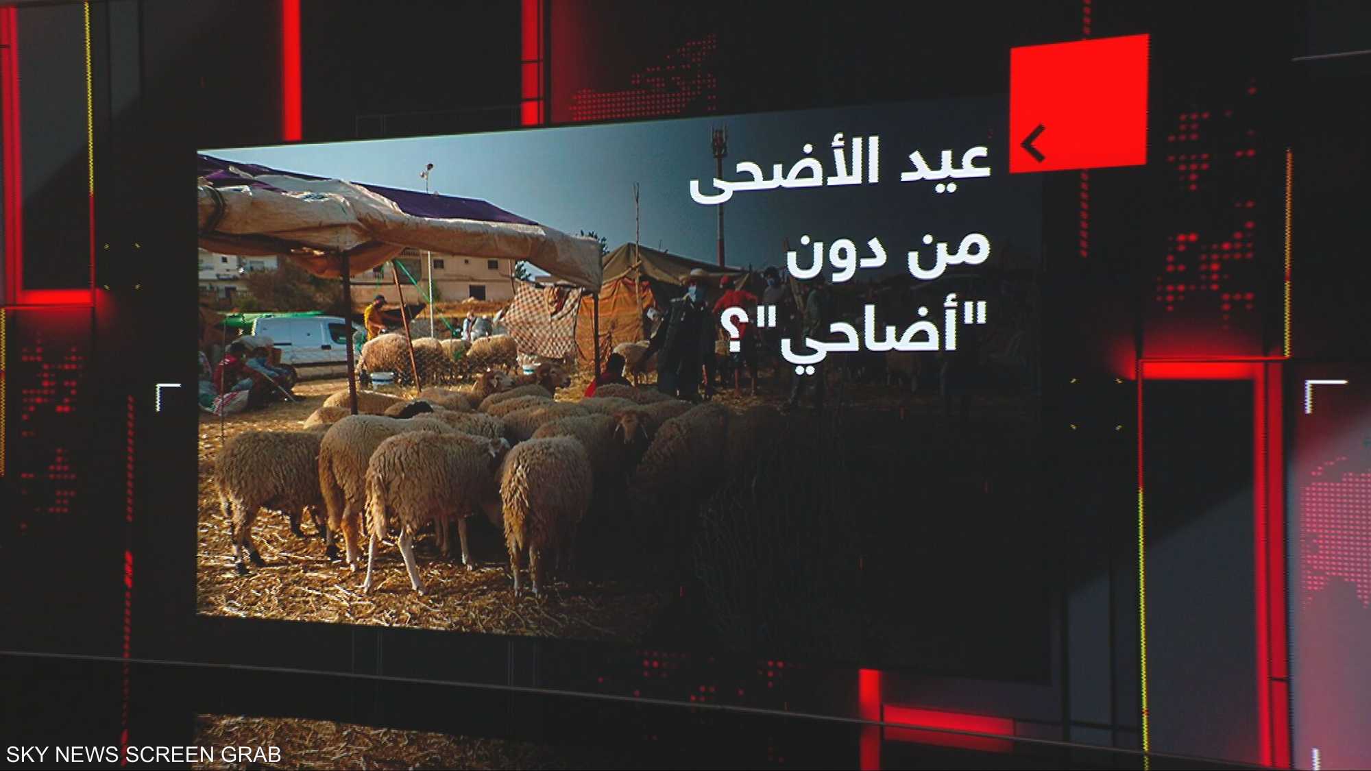 عيد الأضحى من دون "أضاحي"؟