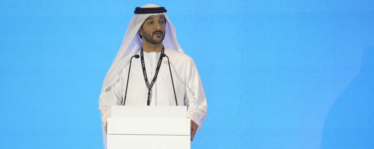 وزير الاقتصاد الإماراتي