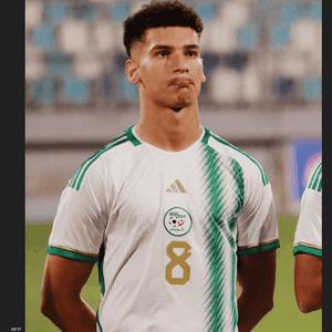 محمد الأمين رمضاوي
